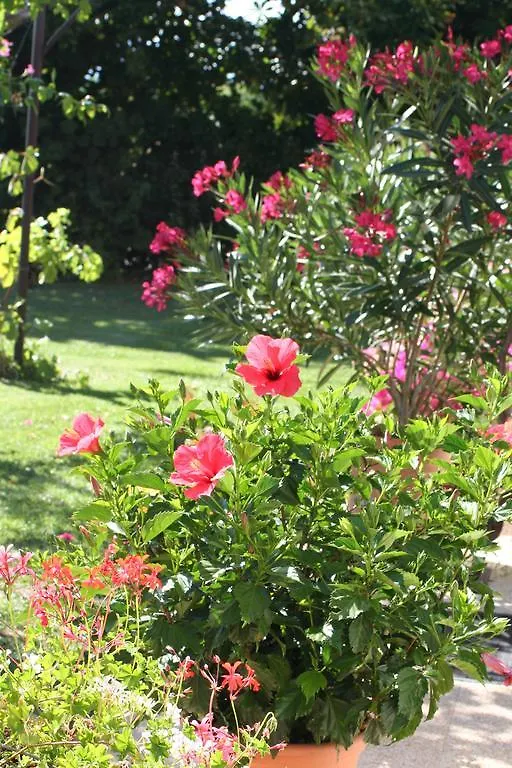 ** Hotel Le Petit Caboulot En Pleine Nature Vaumeilh France